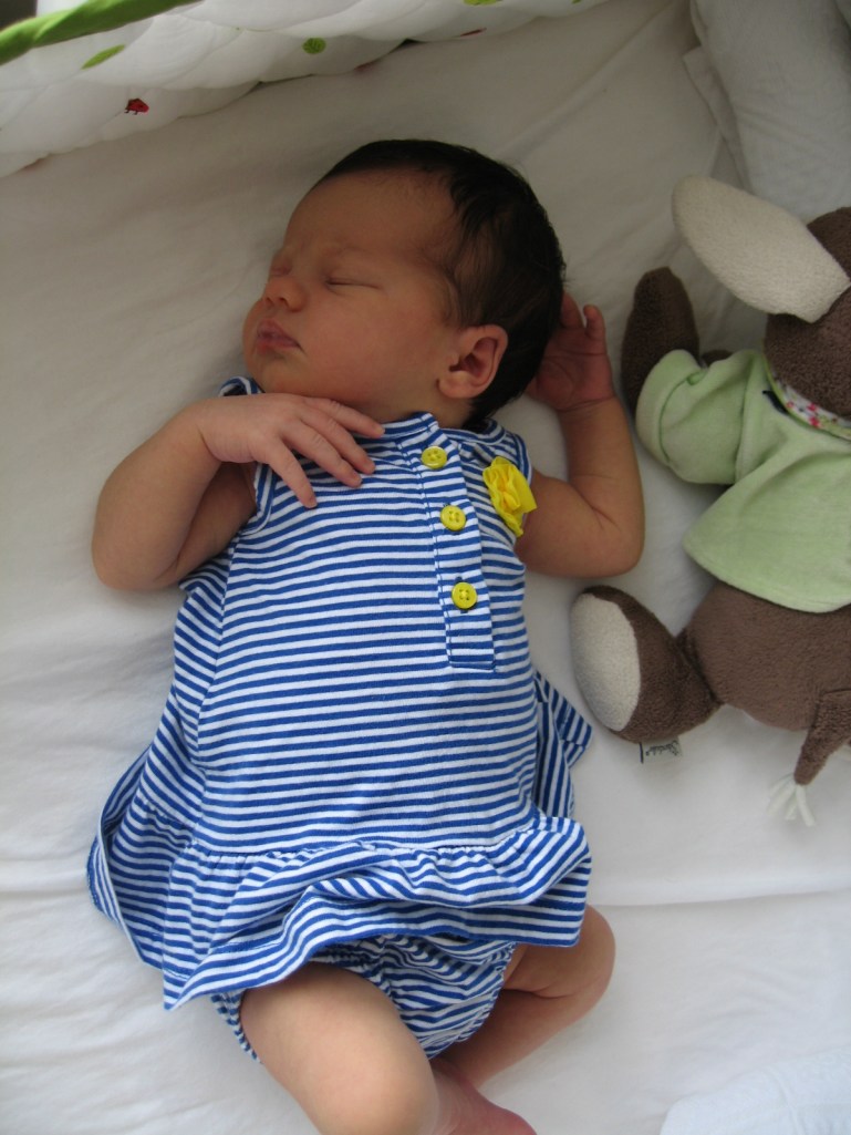 Princess Lauser, die 2te.