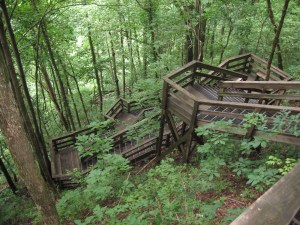 Amicalola Falls (44)