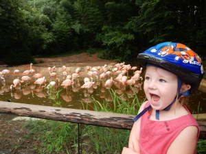 Wir waren im Zoo. Magali mit ihren Lieblingstieren. 