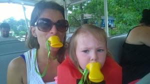 Ride the Ducks, Im Stone Mountainpark