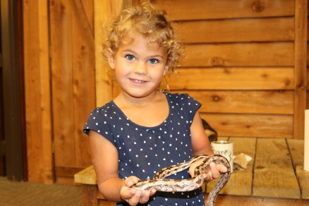 Okefenokee-Swamp (97)