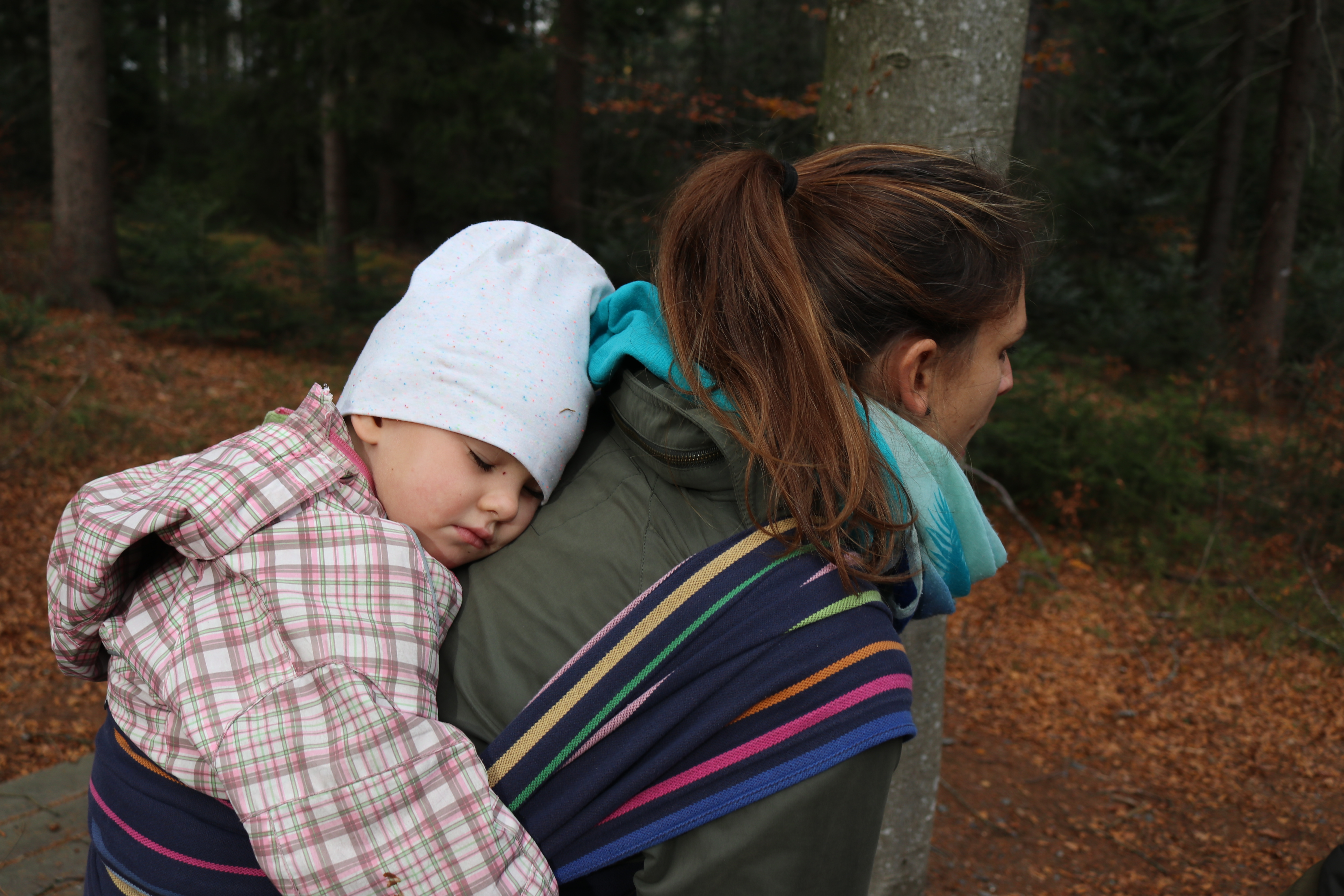 Bayrischer_Wald (27)